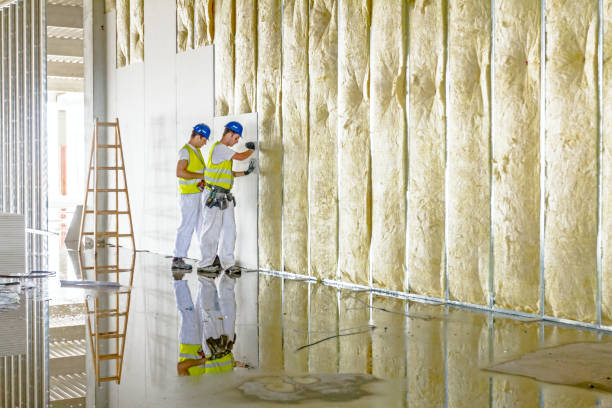 Insulation Contractors for Homes in Shawnee, KS